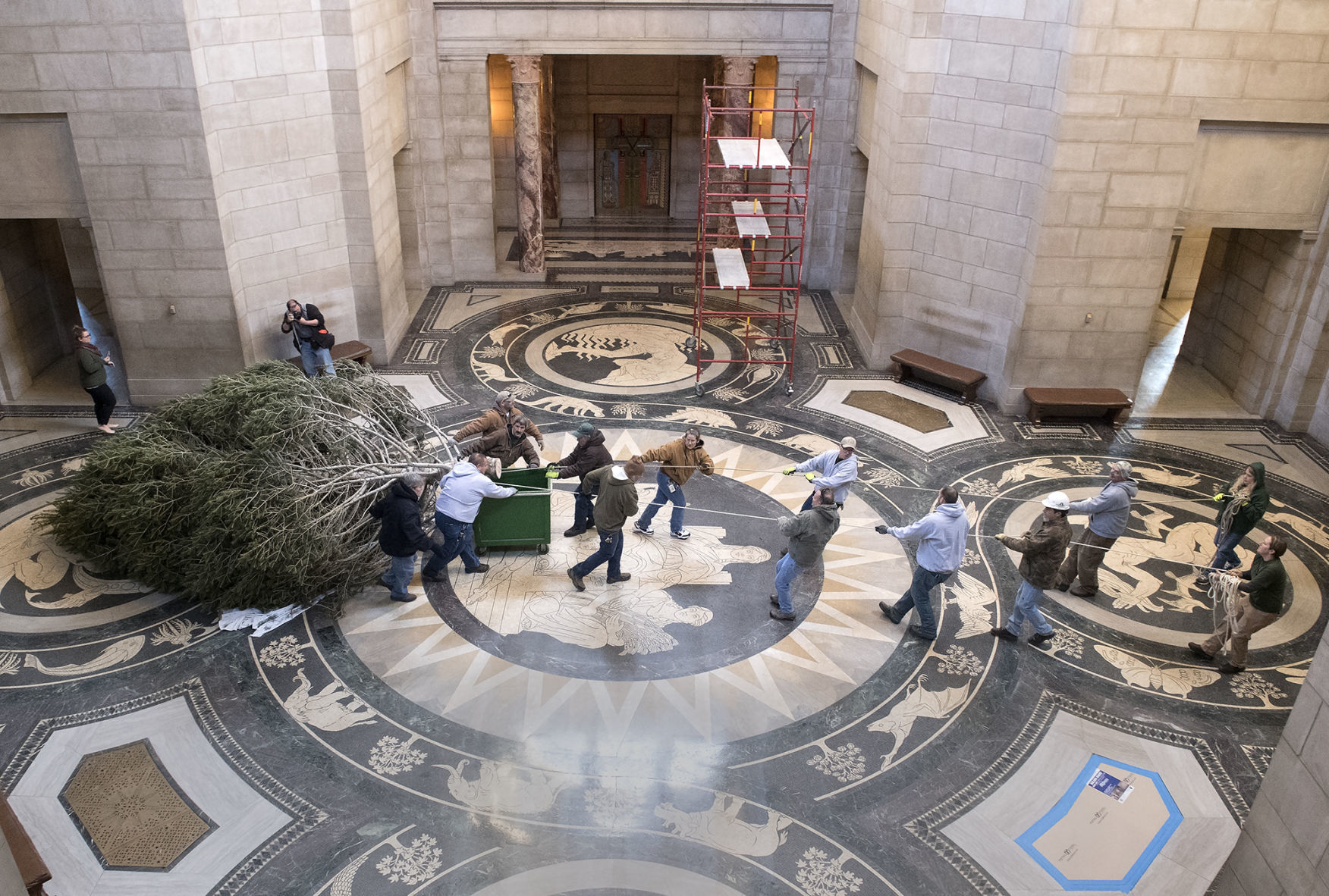 Capitol Christmas tree